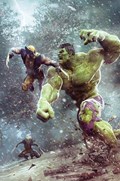 HULK #1-FRANK-B 
