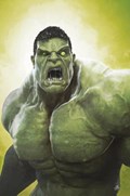 HULK #2-FRANK-B 