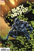 BLACK PANTHER #4B 