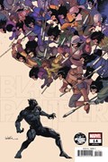 BLACK PANTHER #14C 
