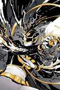 POWER RANGERS: UNIVERSE #5-RI-D 