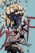 X DEATHS OF WOLVERINE #2-ILLUM-B 