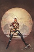 VAMPIVERSE #1-RI-C 