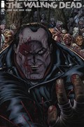 THE WALKING DEAD #162B 