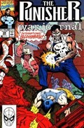PUNISHER: WAR JOURNAL #24 
