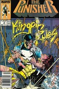 THE PUNISHER #14B 