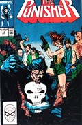 THE PUNISHER #12 