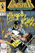THE PUNISHER #14 