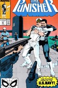 THE PUNISHER #27 