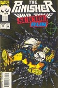 PUNISHER: WAR ZONE #23 