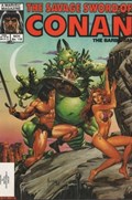 SAVAGE SWORD OF CONAN #118 Magazine