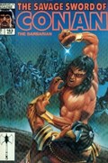 SAVAGE SWORD OF CONAN #163 Magazine