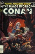 SAVAGE SWORD OF CONAN #91 Magazine
