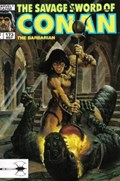 SAVAGE SWORD OF CONAN #173 Magazine