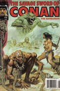 SAVAGE SWORD OF CONAN #176B Magazine