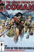 SAVAGE SWORD OF CONAN #179 Magazine