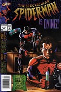THE SPECTACULAR SPIDER-MAN #219B 