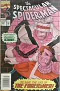 THE SPECTACULAR SPIDER-MAN #210B 