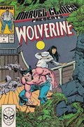 MARVEL COMICS PRESENTS #6 