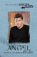 ANGEL SCRIPTBOOK (NON COMIC) #1 