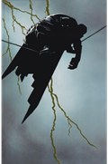 BATMAN: THE DARK KNIGHT RETURNS #1-FANX 