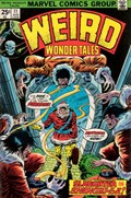 WEIRD WONDER TALES #11 