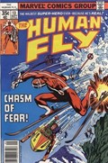THE HUMAN FLY #13 