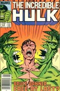 THE INCREDIBLE HULK #315C 