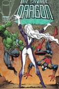 SAVAGE DRAGON #13 