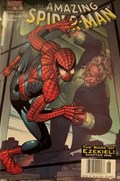 THE AMAZING SPIDER-MAN #506B 