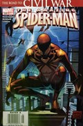 THE AMAZING SPIDER-MAN #530B 