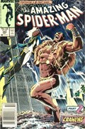 THE AMAZING SPIDER-MAN #293B 