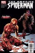 THE AMAZING SPIDER-MAN #516 