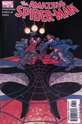 THE AMAZING SPIDER-MAN #507 