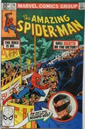 THE AMAZING SPIDER-MAN #216C 