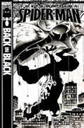 THE AMAZING SPIDER-MAN #539-OASIS 