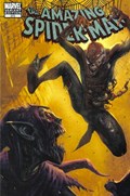 THE AMAZING SPIDER-MAN #573-RI 