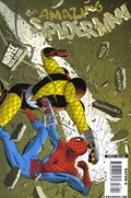 THE AMAZING SPIDER-MAN #579 