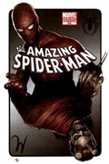 THE AMAZING SPIDER-MAN #595C 