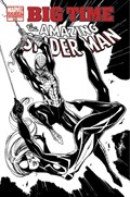 THE AMAZING SPIDER-MAN #648-RI 