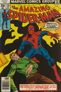 THE AMAZING SPIDER-MAN #176 