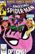 THE AMAZING SPIDER-MAN #243 