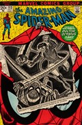 THE AMAZING SPIDER-MAN #113
