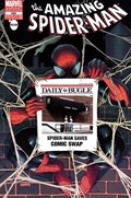 THE AMAZING SPIDER-MAN #666-CSWAP 