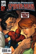 MARVEL KNIGHTS: SPIDER-MAN #13 