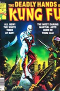 THE DEADLY HANDS OF KUNG FU #22