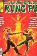 THE DEADLY HANDS OF KUNG FU #24