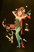 BATMAN ADVENTURES #12-WWBOX-C 