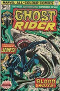 GHOST RIDER #16B 