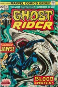 GHOST RIDER #16 